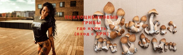 скорость Арсеньев