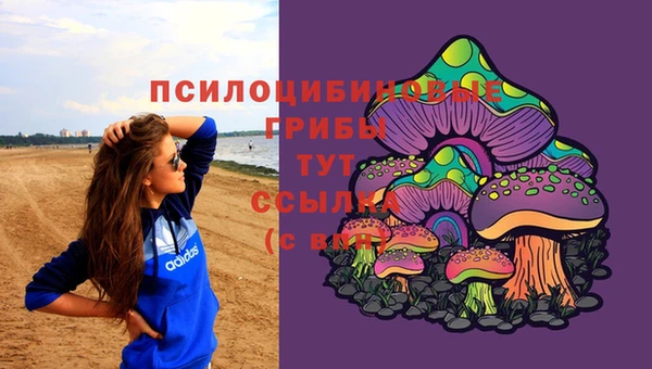 прущий лед Аркадак