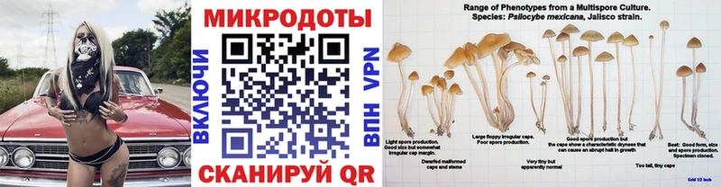 Галлюциногенные грибы GOLDEN TEACHER  продажа наркотиков  Славянск-на-Кубани 