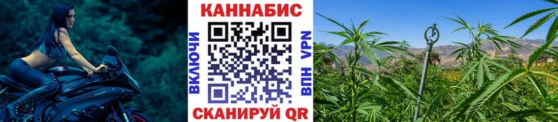 где можно купить наркотик  Славянск-на-Кубани  Каннабис индика 